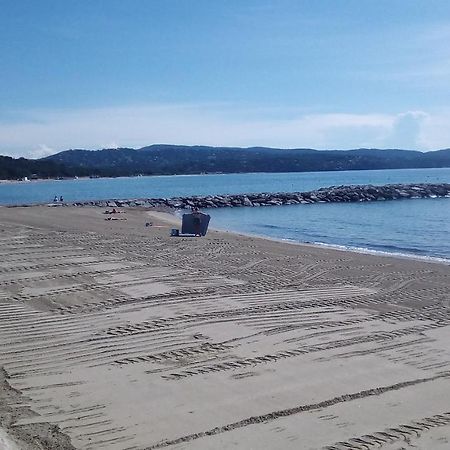 Studio De 27 M² + 70 M² De Jardin A 100 M Des Plages Cavalaire-sur-Mer Eksteriør billede