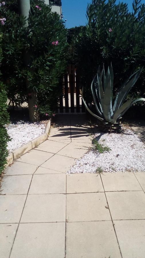 Studio De 27 M² + 70 M² De Jardin A 100 M Des Plages Cavalaire-sur-Mer Eksteriør billede